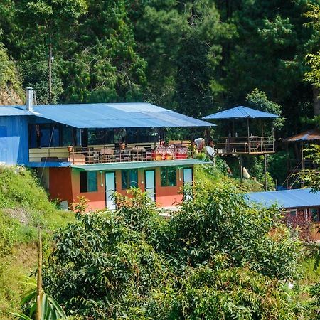 Jungle Crown Organic Homestay Нагаркот Екстер'єр фото