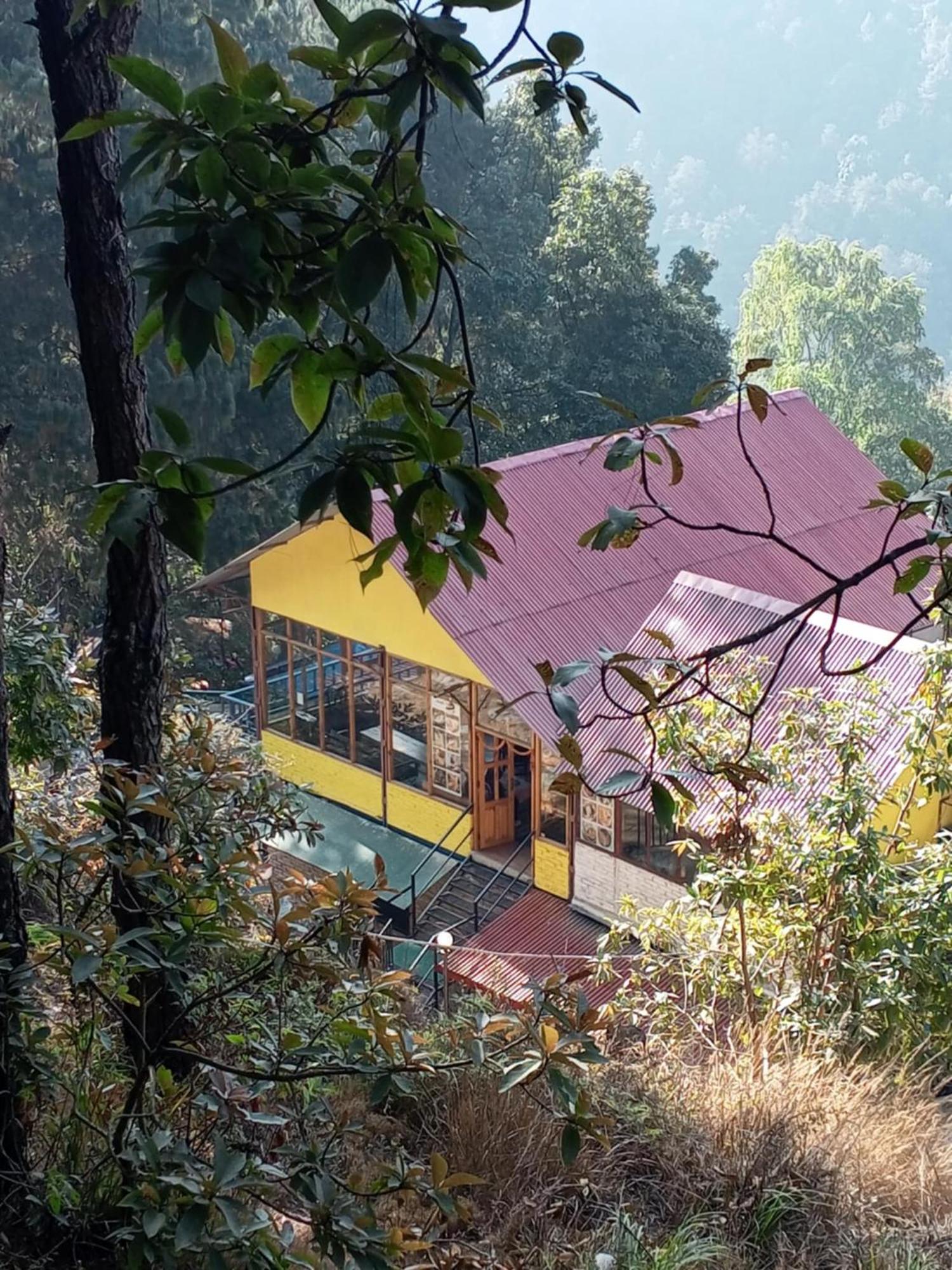 Jungle Crown Organic Homestay Нагаркот Екстер'єр фото