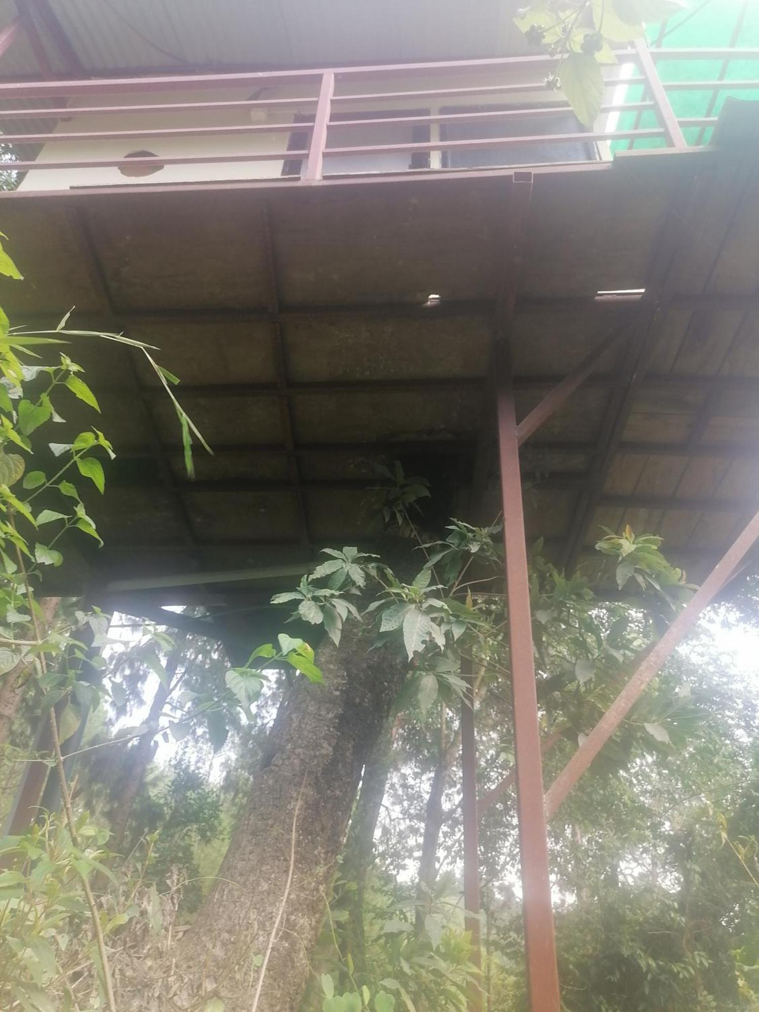 Jungle Crown Organic Homestay Нагаркот Номер фото