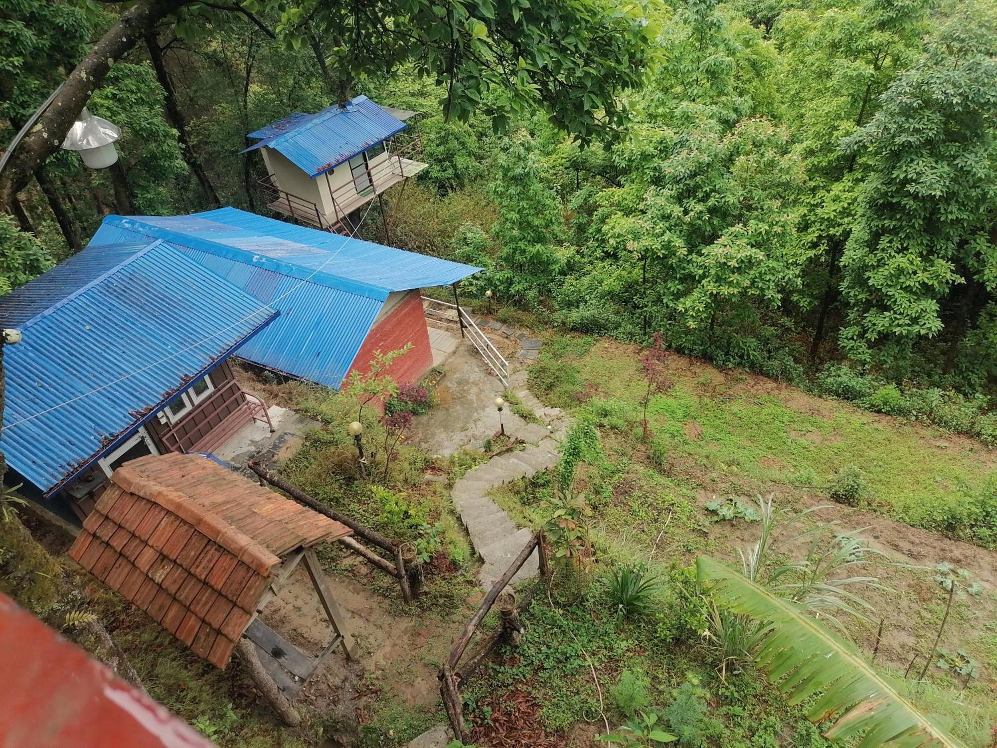 Jungle Crown Organic Homestay Нагаркот Номер фото
