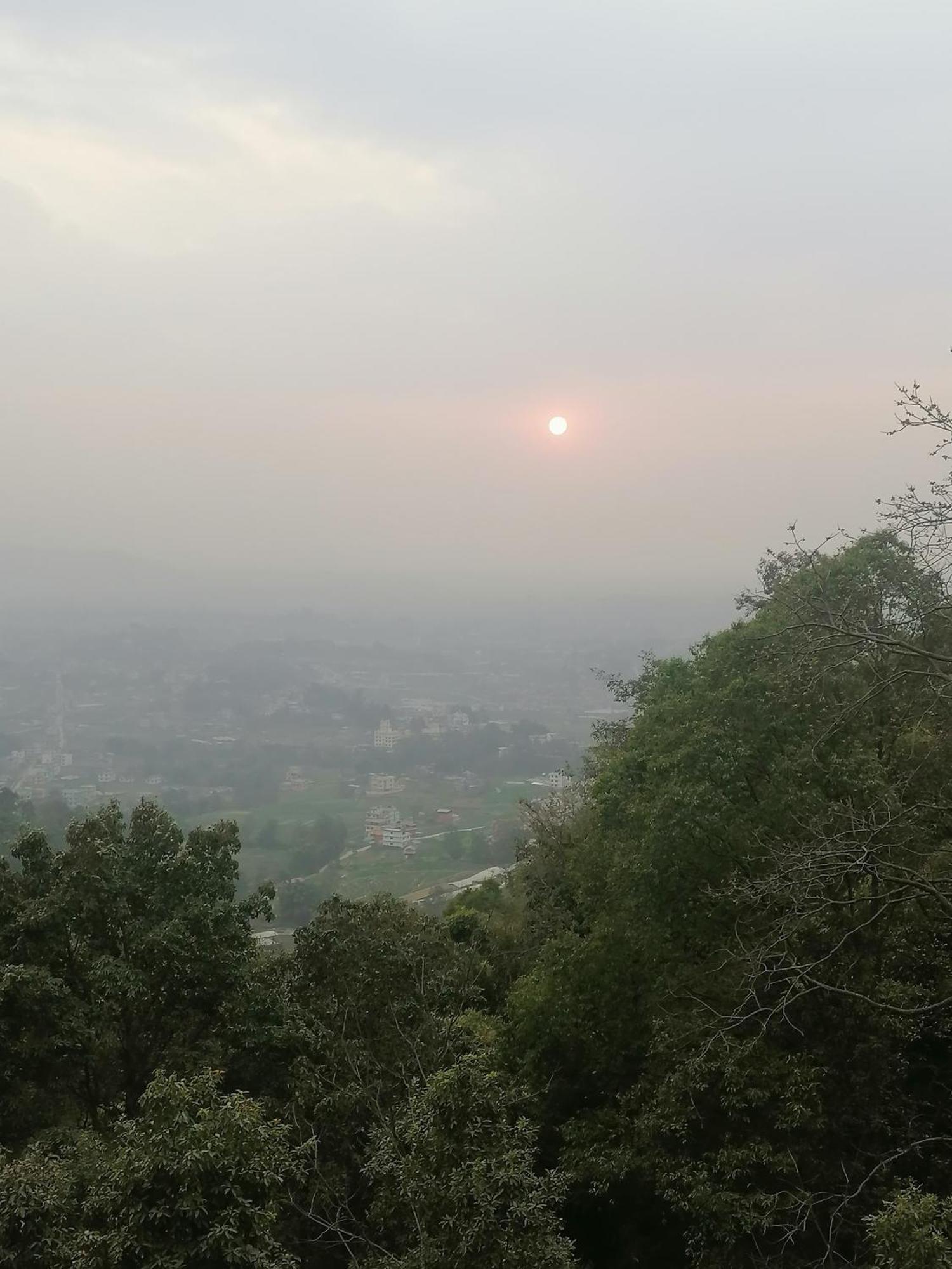 Jungle Crown Organic Homestay Нагаркот Номер фото