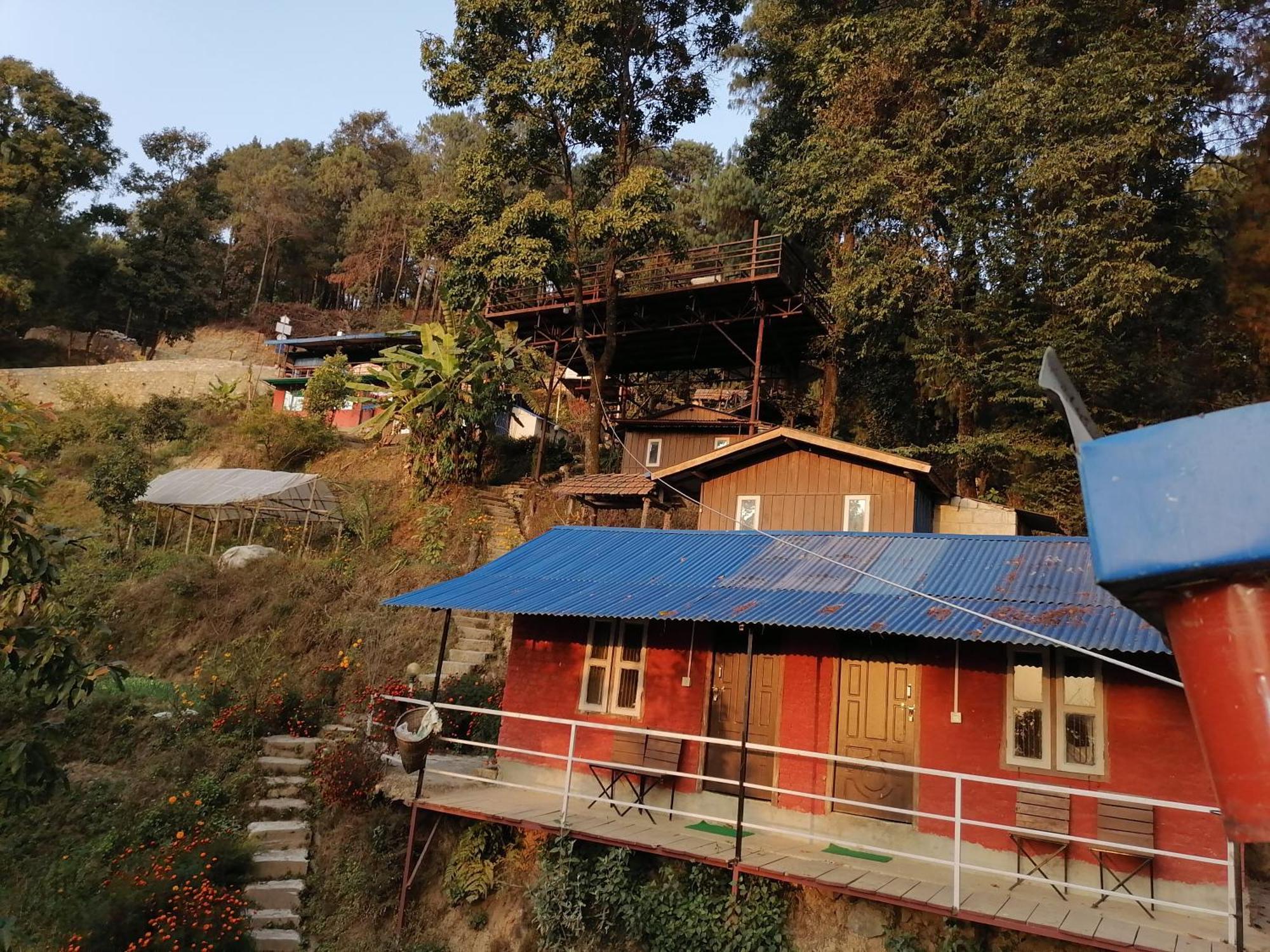 Jungle Crown Organic Homestay Нагаркот Номер фото