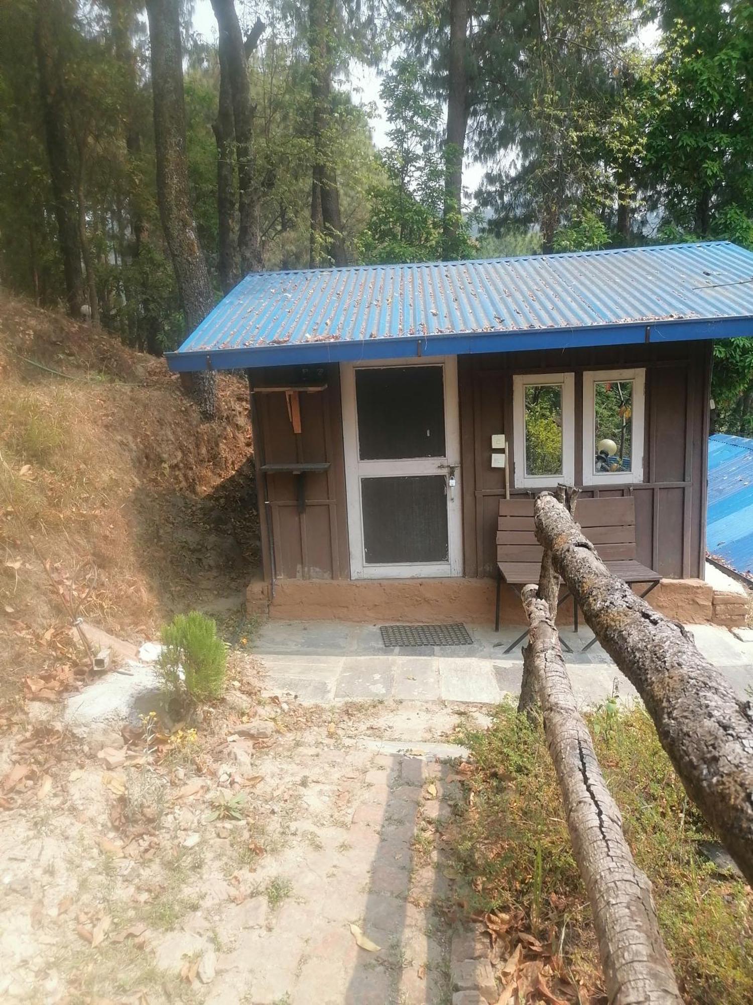 Jungle Crown Organic Homestay Нагаркот Номер фото