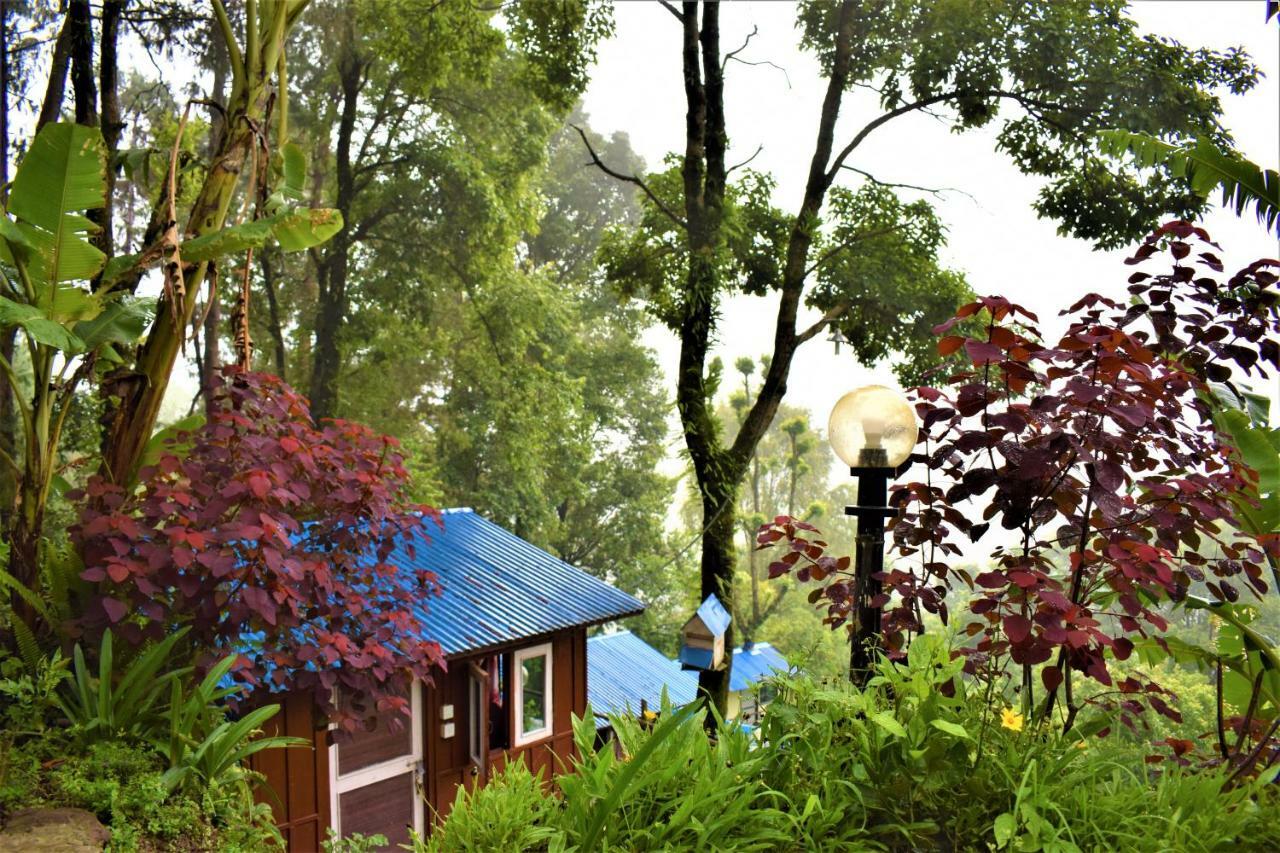 Jungle Crown Organic Homestay Нагаркот Екстер'єр фото