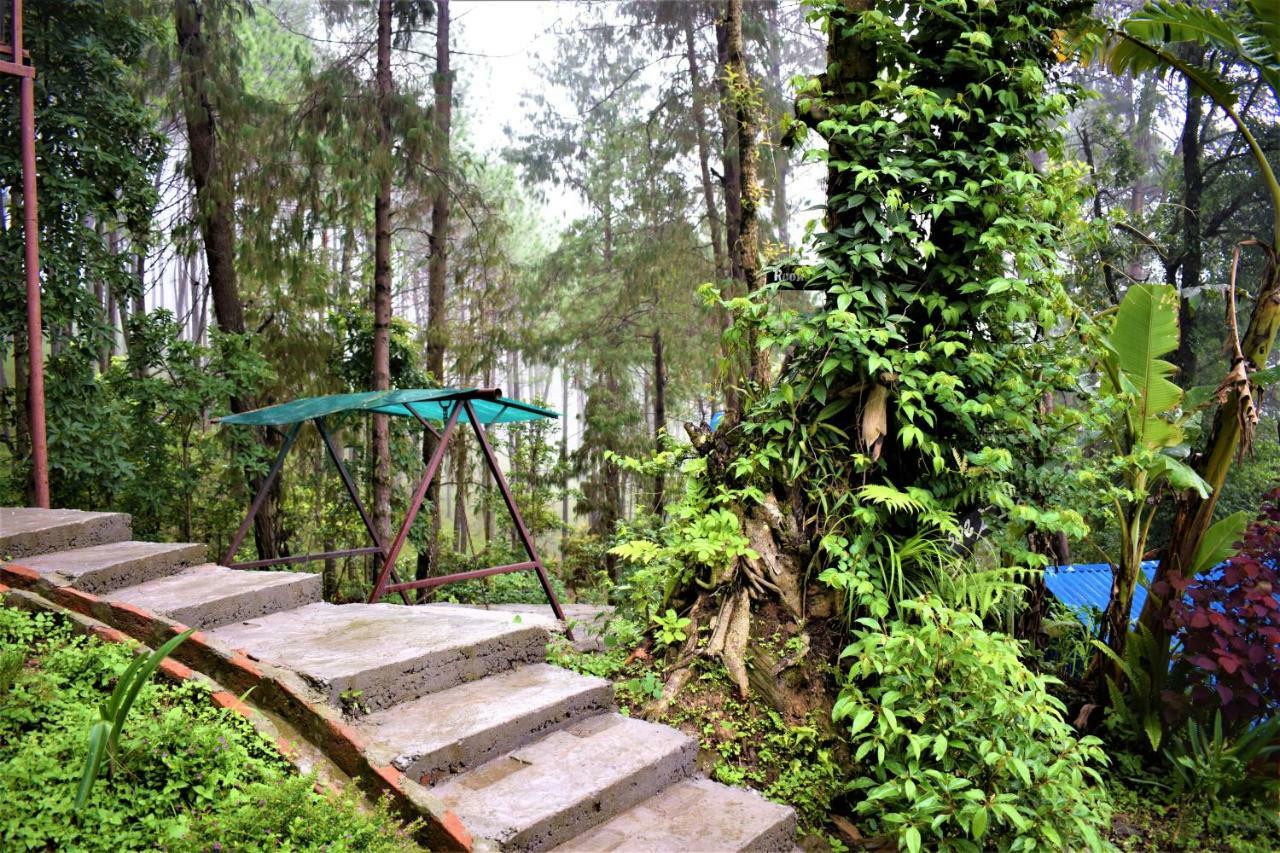 Jungle Crown Organic Homestay Нагаркот Екстер'єр фото