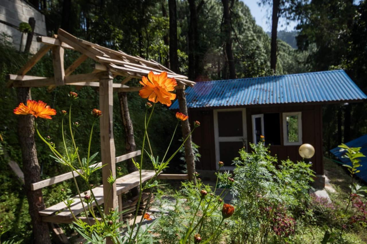 Jungle Crown Organic Homestay Нагаркот Екстер'єр фото