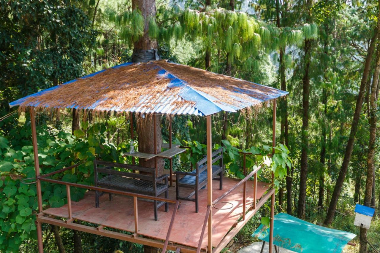 Jungle Crown Organic Homestay Нагаркот Екстер'єр фото